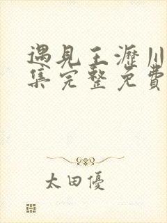 遇见王沥川40集完整免费