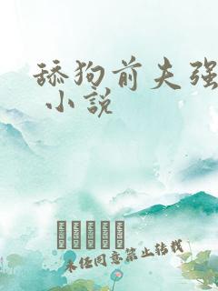 舔狗前夫强撩我 小说