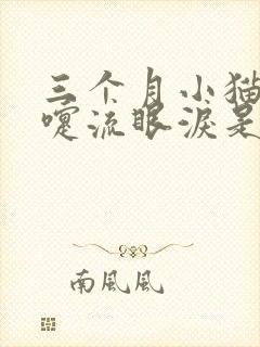 三个月小猫打喷嚏流眼泪是怎么回事