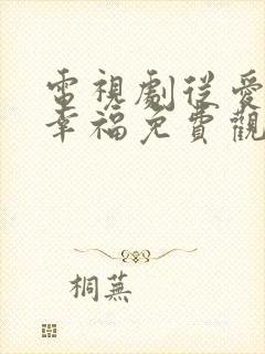 电视剧从爱情到幸福免费观看