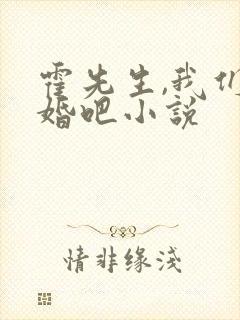 霍先生,我们离婚吧小说