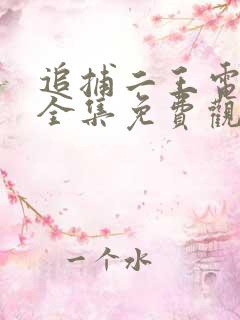 追捕二王电视剧全集免费观看