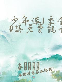 少年派1季全40集免费观看