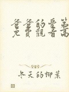 爸爸的爱第一季免费观看高清