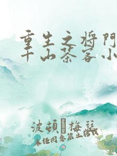 重生之将门毒后千山茶客小说完结版