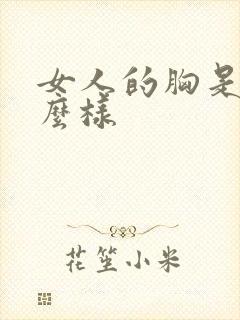 女人的胸是长什么样