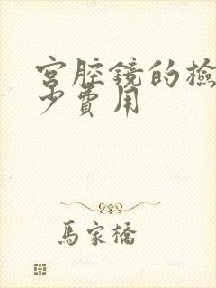 宫腔镜的检查多少费用