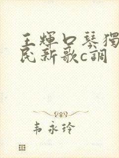 王辉口琴独奏牧民新歌c调