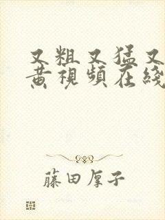 又粗又猛又爽又黄视频在线观看