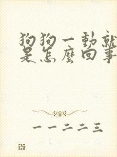 狗狗一动就咳嗽是怎么回事