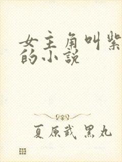 女主角叫紫什么的小说