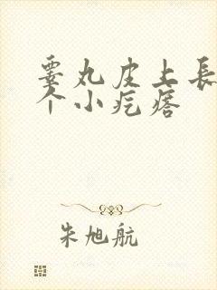 睾丸皮上长了一个小疙瘩