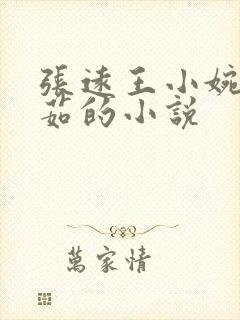 张远王小婉韩雅茹的小说