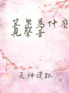 苹果为什么听不见声音