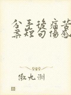 分手后痛苦的文案短句伤感