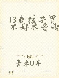 13岁孩子胃口不好不爱吃饭怎么办