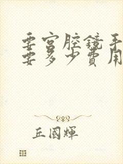 要宫腔镜手术需要多少费用