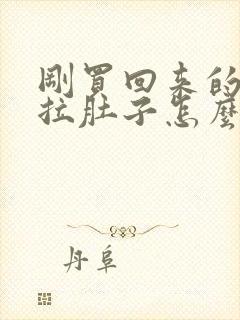 刚买回来的小狗拉肚子怎么办