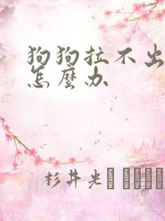 狗狗拉不出来尿怎么办