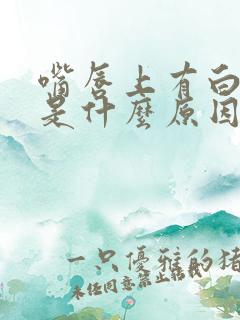 嘴唇上有白色斑是什么原因