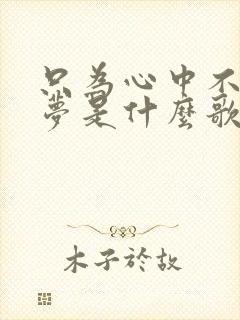 只为心中不变的梦是什么歌歌词是什么意思