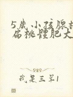 5岁小孩腺样体扁桃体肥大