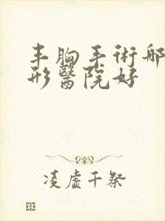 丰胸手术哪家整形医院好