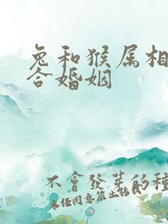 兔和猴属相合不合婚姻