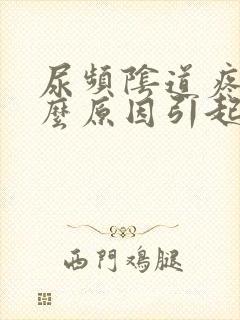 尿频阴道疼痛什么原因引起的