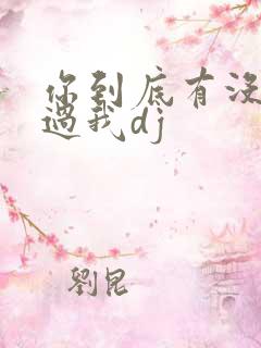 你到底有没有爱过我dj