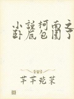 小说柯南之我被卧底包围了全文