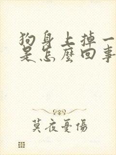 狗身上掉一块毛是怎么回事