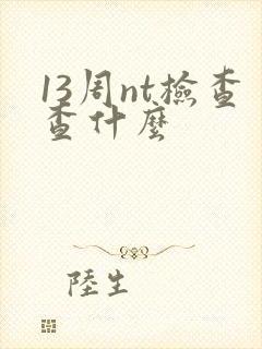 13周nt检查查什么