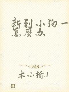 新到小狗一直叫怎么办