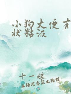 小狗大便有果冻状粘液