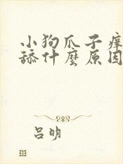 小狗爪子痒痒总舔什么原因