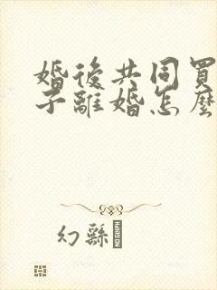 婚后共同买的房子离婚怎么处理