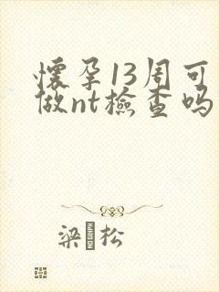 怀孕13周可以做nt检查吗