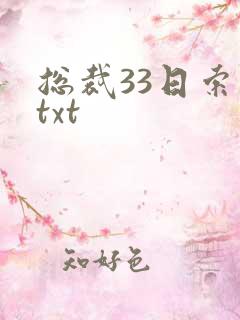 总裁33日索情txt