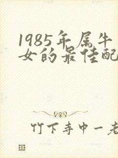 1985年属牛女的最佳配偶属相