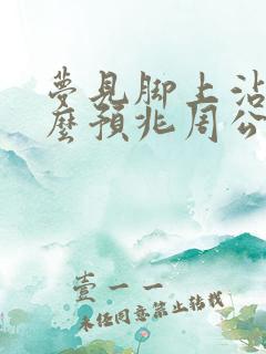 梦见脚上沾屎什么预兆周公解梦