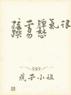 孩子脾气很大暴躁易怒