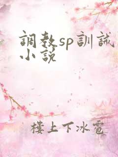 调教sp训诫类小说