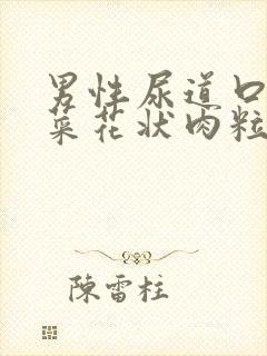 男性尿道口长出菜花状肉粒