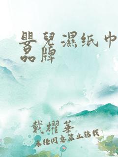 婴儿湿纸巾十大品牌