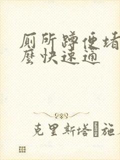 厕所蹲便堵了怎么快速通