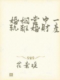 婚姻当中一方出轨离婚财产如何分配