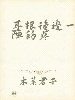 耳根后边一阵一阵的疼