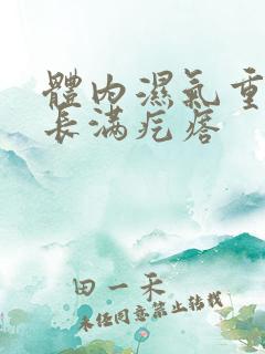 体内湿气重背部长满疙瘩