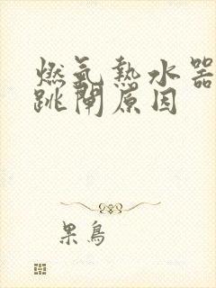 燃气热水器漏保跳闸原因